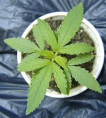 eqxhaze4-004a.jpg