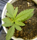eqxhaze4-005a.jpg