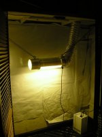 Room6.JPG
