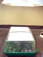 420_009.jpg 420_009.jpg