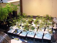 420_4156.jpg 420_4156.jpg