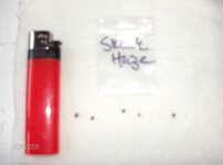 sseeds 001.jpg