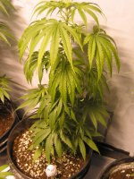 mh2IMG_4741.jpg