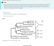Screenshot_20-10-2025_21137_pmc.ncbi.nlm.nih.gov.jpeg