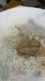 IMG_2222.jpeg