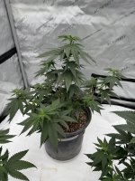IMG_1476.jpeg