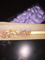 IMG_3976.jpeg