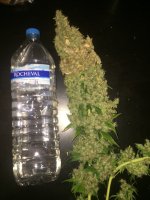IMG_1714.jpeg