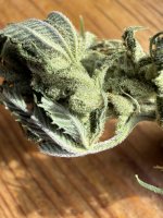 IMG_1908.jpeg