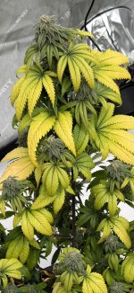 IMG_2021.jpeg