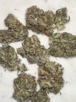 IMG_3413.jpeg