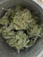 IMG_2267.jpeg