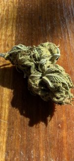 IMG_2373.jpeg