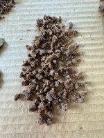 Hash1st120m1.JPG Hash1st120m1.JPG