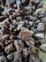 Hash1st73m2.JPG Hash1st73m2.JPG