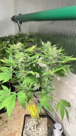IMG_3875.jpeg