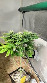 IMG_3880.jpeg