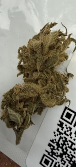 IMG_3292.jpeg