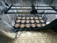 IMG_0696.jpeg