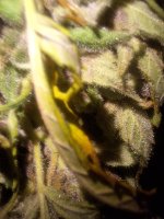 20260529_201732.jpg