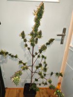 IMG_20260530_005706.jpg