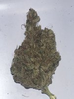 IMG_4463.jpeg