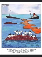terns.jpg