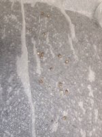 IMG_20260614_170907048.jpg