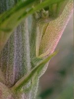 fc665e31-ebb5-484c-8cf1-26c2ac83221f.jpg