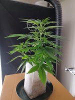 20260706_180823.jpg
