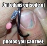 IMG_7363.jpeg