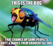 1783953372338.png