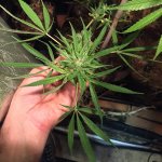 IMG_3874.jpeg