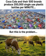 IMG_8766.png
