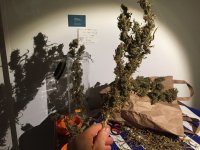 IMG_4477.jpeg