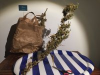 IMG_4463.jpeg