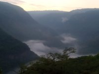 IMG_7462.jpeg
