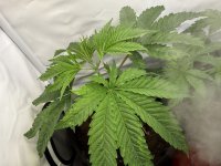 2.JPG