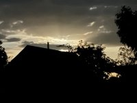 IMG_2283.jpeg