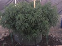 IMG_3848.jpeg IMG_3848.jpeg