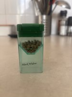 IMG_3179.jpeg IMG_3179.jpeg