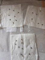IMG_3160.jpeg IMG_3160.jpeg
