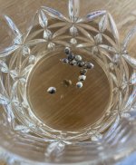 IMG_7432.jpeg