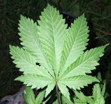 20260806_201326.jpg 20260806_201326.jpg