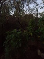 20260905_200442.jpg