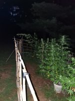 20260908_201332.jpg