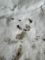 IMG_0779.jpeg