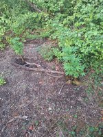 20260918_183720.jpg