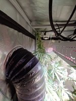 20260920_181432.jpg