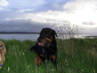 buddy- aug 21- 6-30 am.jpg